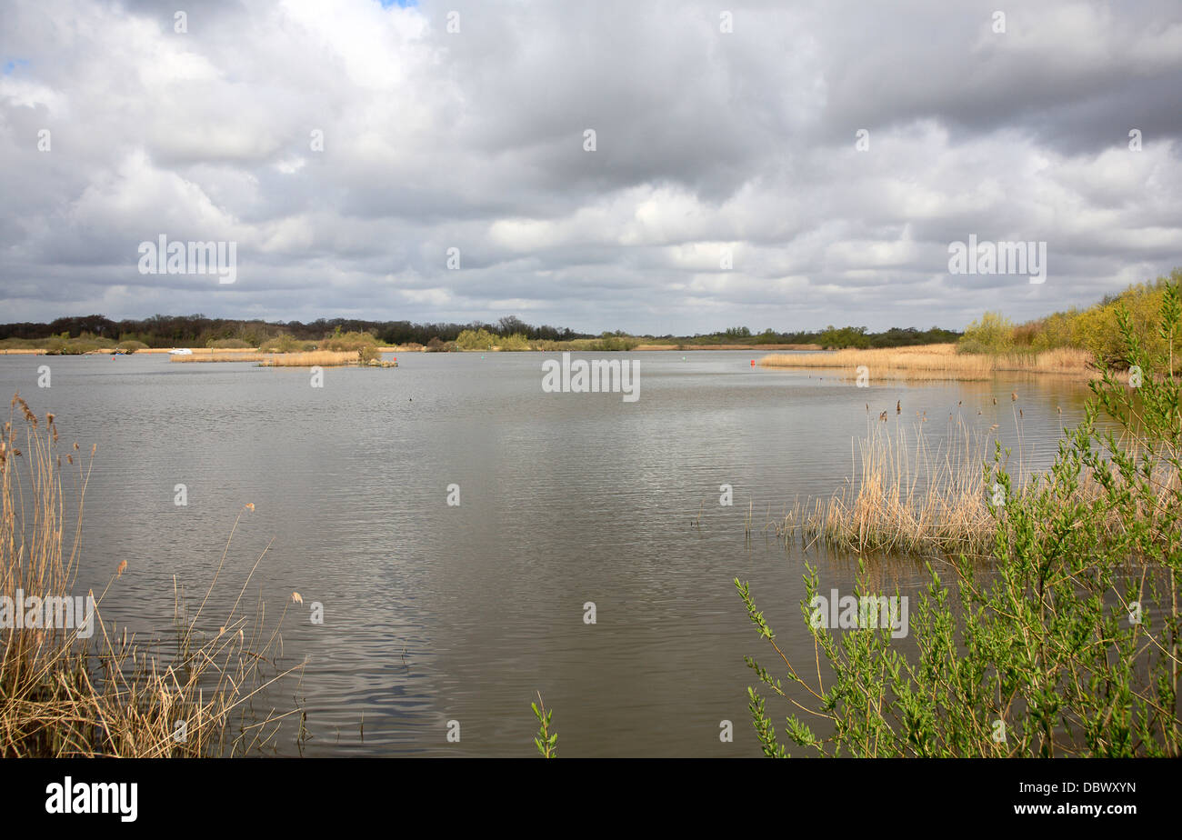 Vue de Rockland large sur les Norfolk Broads à Rockland St Mary, Norfolk, Angleterre, Royaume-Uni. Banque D'Images