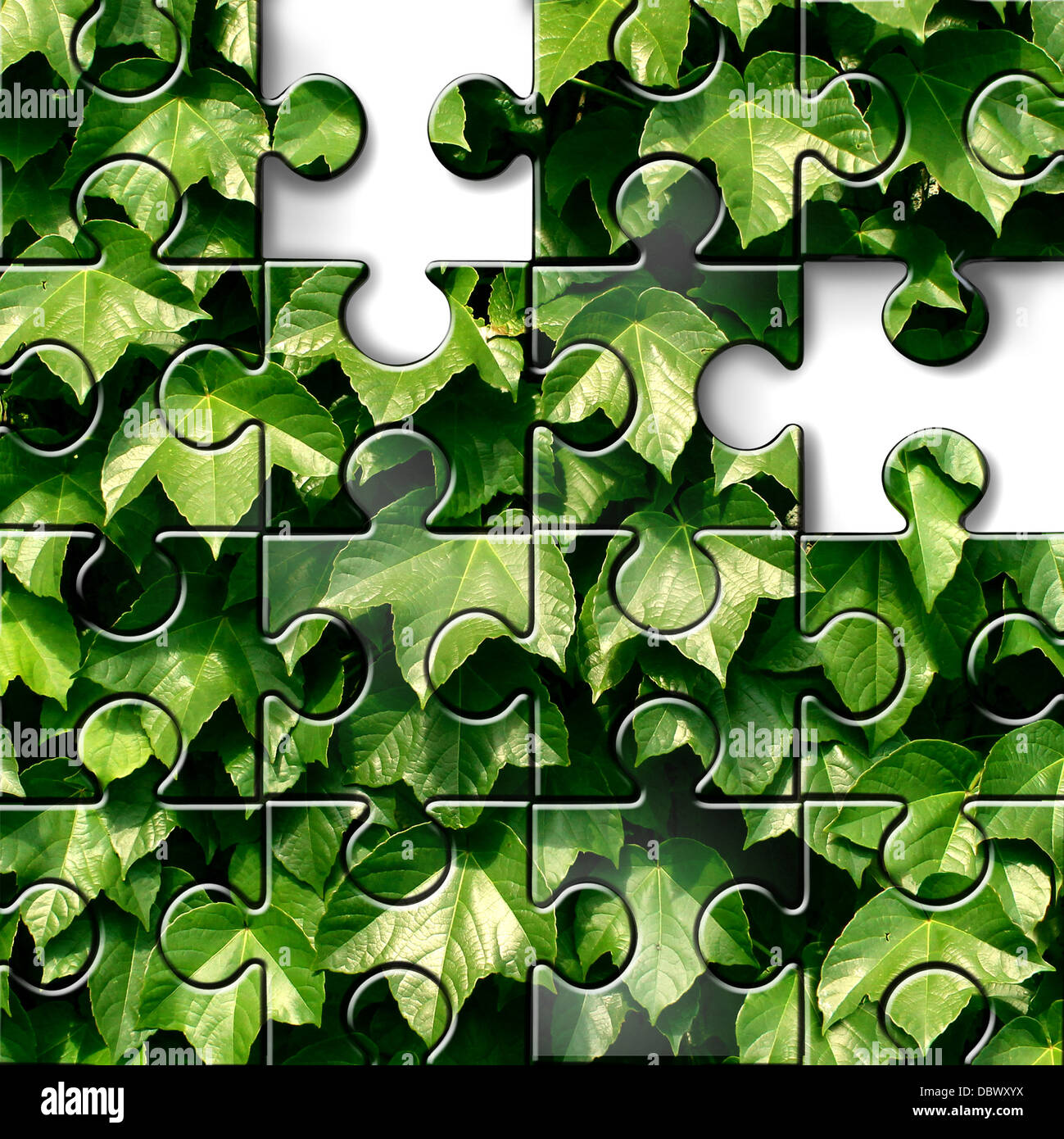 Concept de jardinage et aménagement paysager vert icône design avec feuilles des plantes luxuriantes sur fond d'un puzzle avec des pièces manquantes à l'horticulture symbole de trouver de plus en plus le jardin des conseils. Banque D'Images