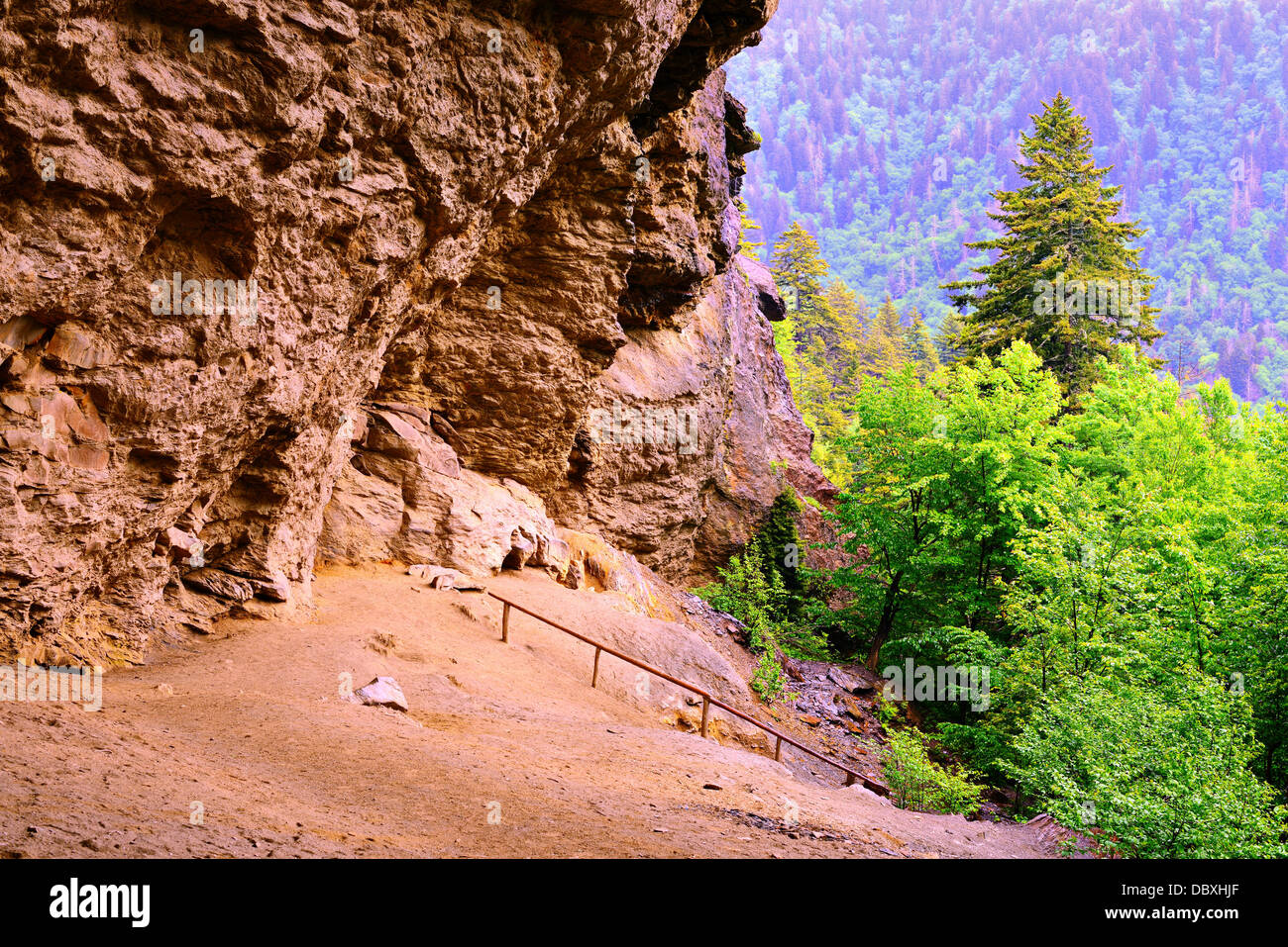Grotte d'alun dans les Great Smoky Mountains National Forest. Banque D'Images