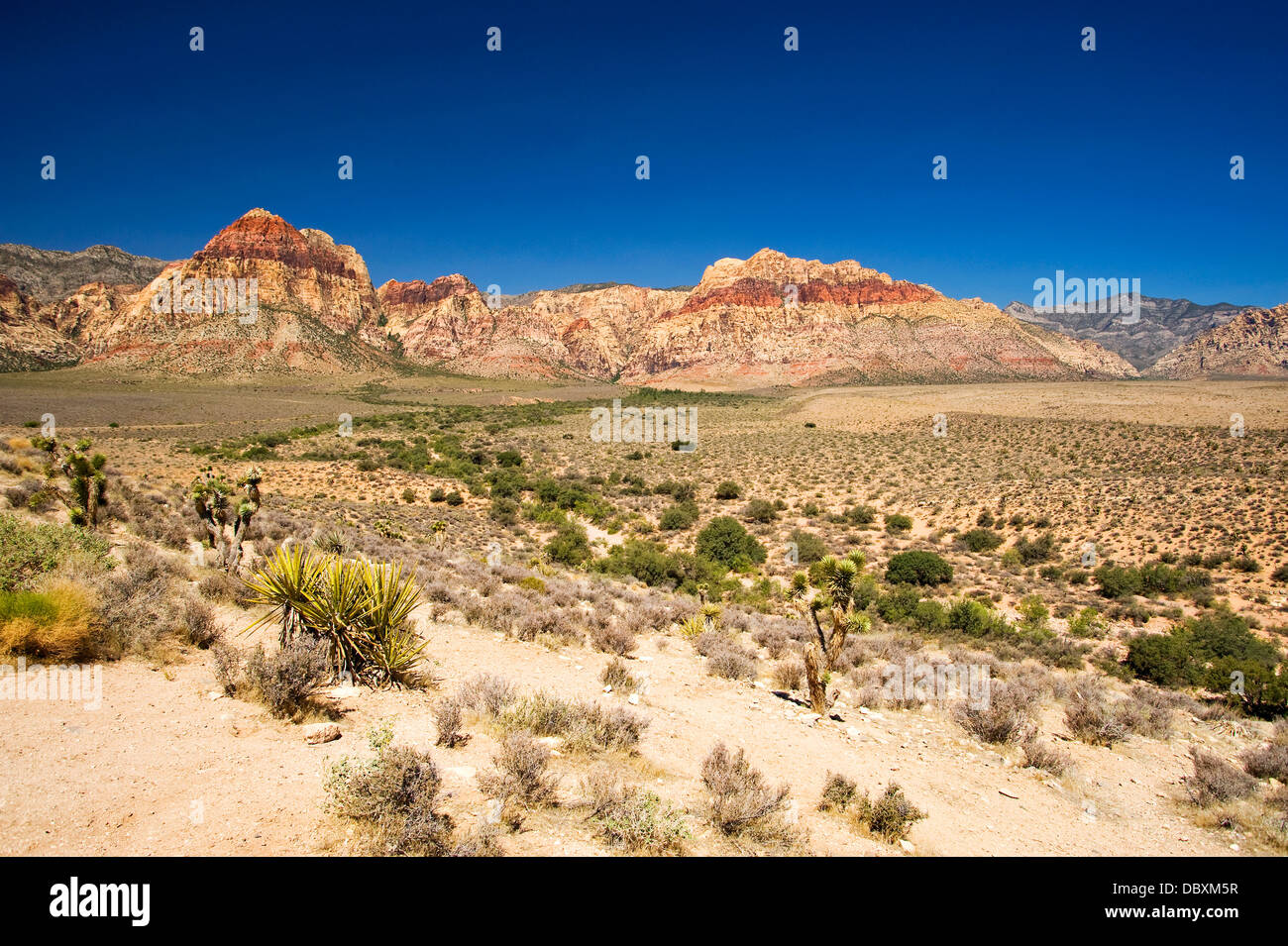 Red Rock Canyon National Conservation Area, Nevada Banque D'Images