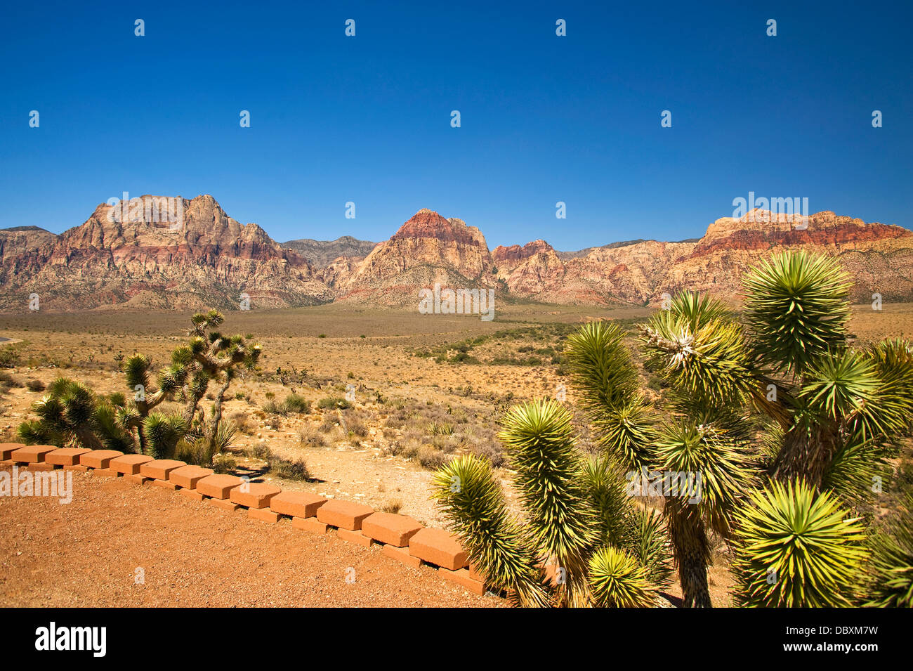 Red Rock Canyon National Conservation Area, Nevada Banque D'Images