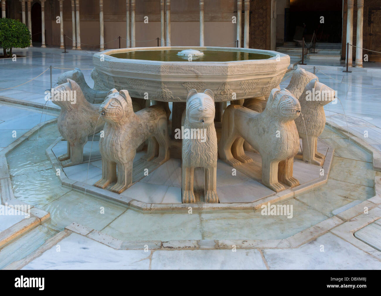Les douze lions fontaine du Patio de los Leones, quelques jours après la première livraison de l'eau, après plus de 10 ans de res Banque D'Images