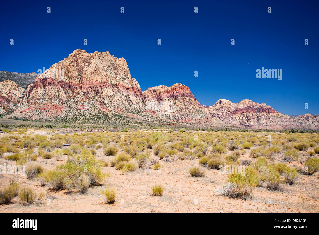 Red Rock Canyon National Conservation Area, Nevada Banque D'Images