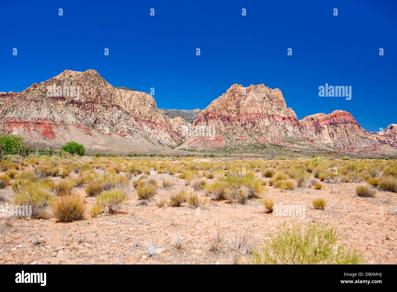 Red Rock Canyon National Conservation Area, Nevada Banque D'Images