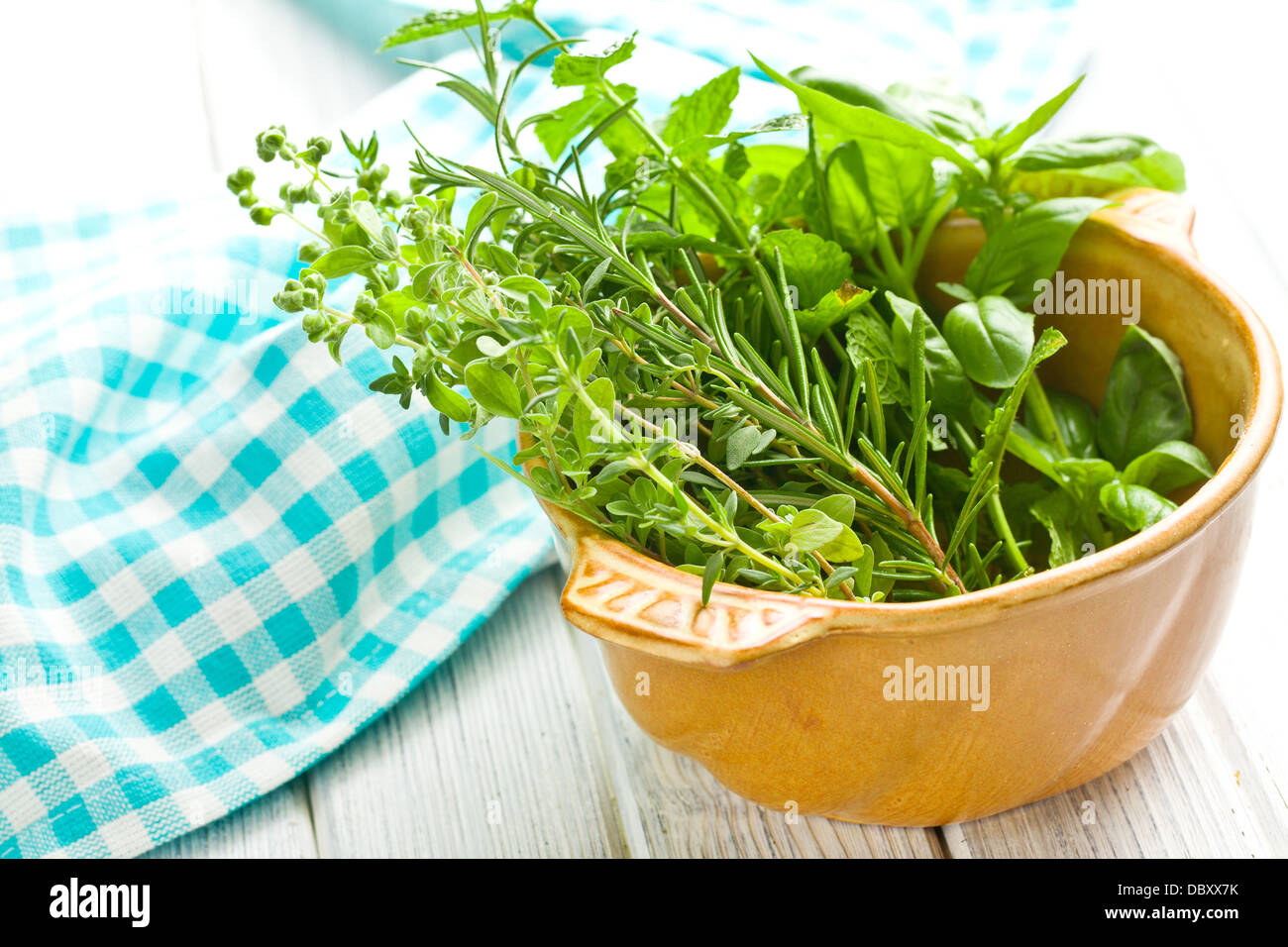 Plusieurs herbes sur table de cuisine Banque D'Images