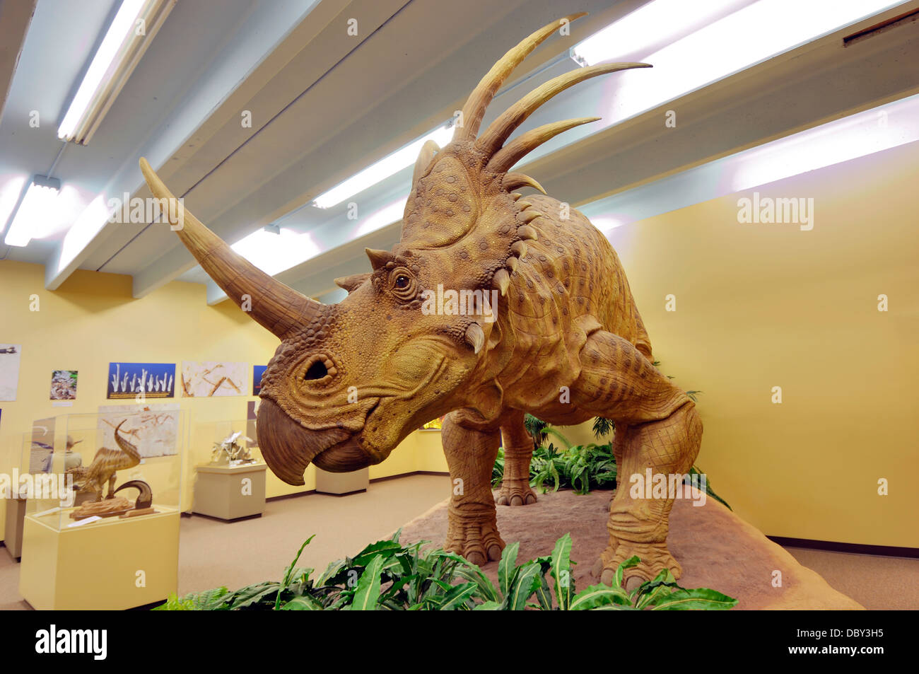 Styracosaurus sens 'spiked lizard" était un genre de dinosaure herbivore cératopsien du Crétacé Banque D'Images