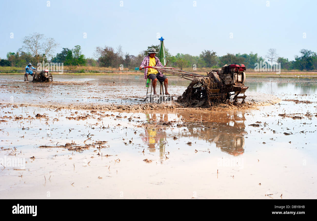 La tradition d'un agriculteur petite machine préparer le sol pour le repiquage du riz Banque D'Images