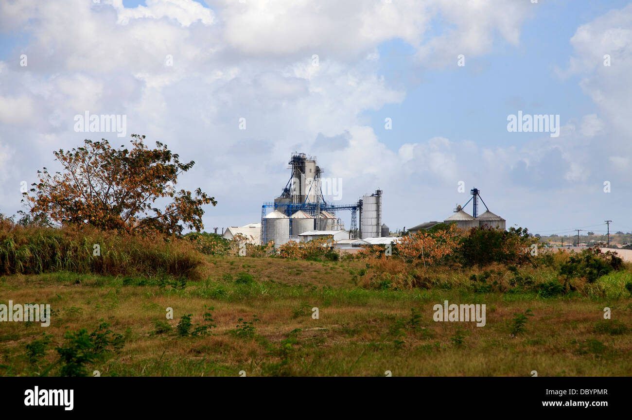 Sur l'usine de sucre de l'île de la Barbade Banque D'Images
