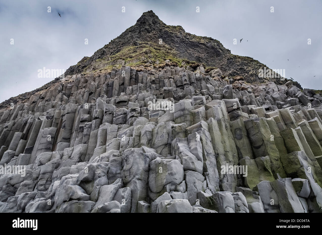 Les colonnes de basalte, la plage de Reynisfjara qui jouit de l'Islande Banque D'Images