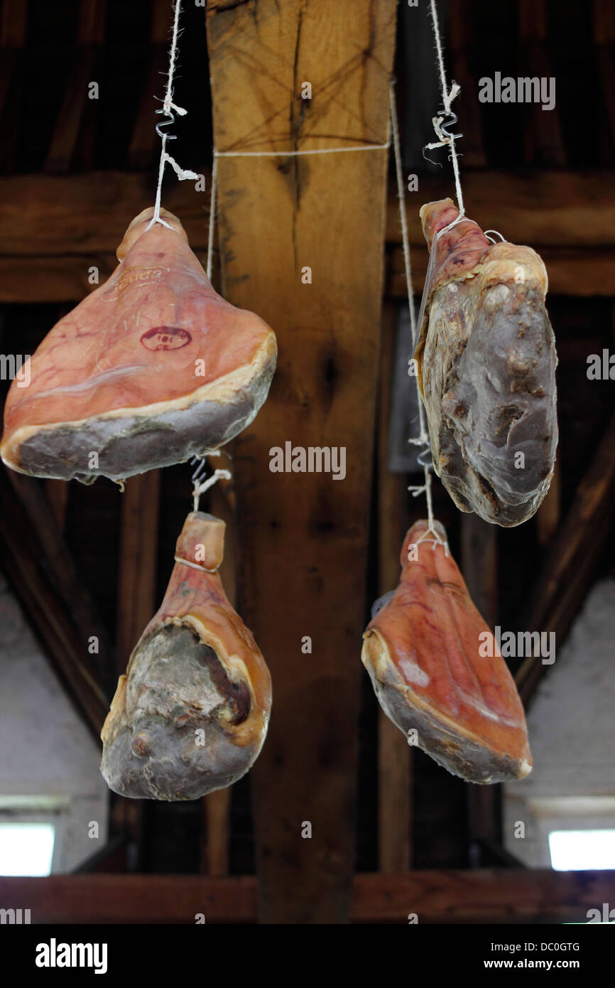 Gand Belgique Europe jambon suspendu au poutres apparentes dans les bouchers Hall du marché de légumes Banque D'Images