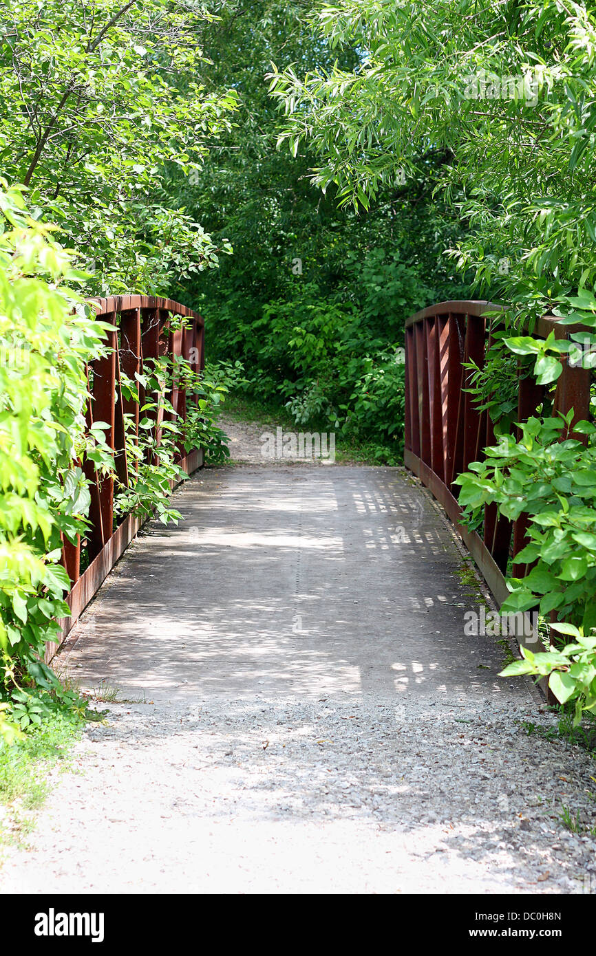 Un peu vieux chemin de fer pont est envahi par les plantes vertes et les vignes sur un chemin de pierre dans les bois Banque D'Images
