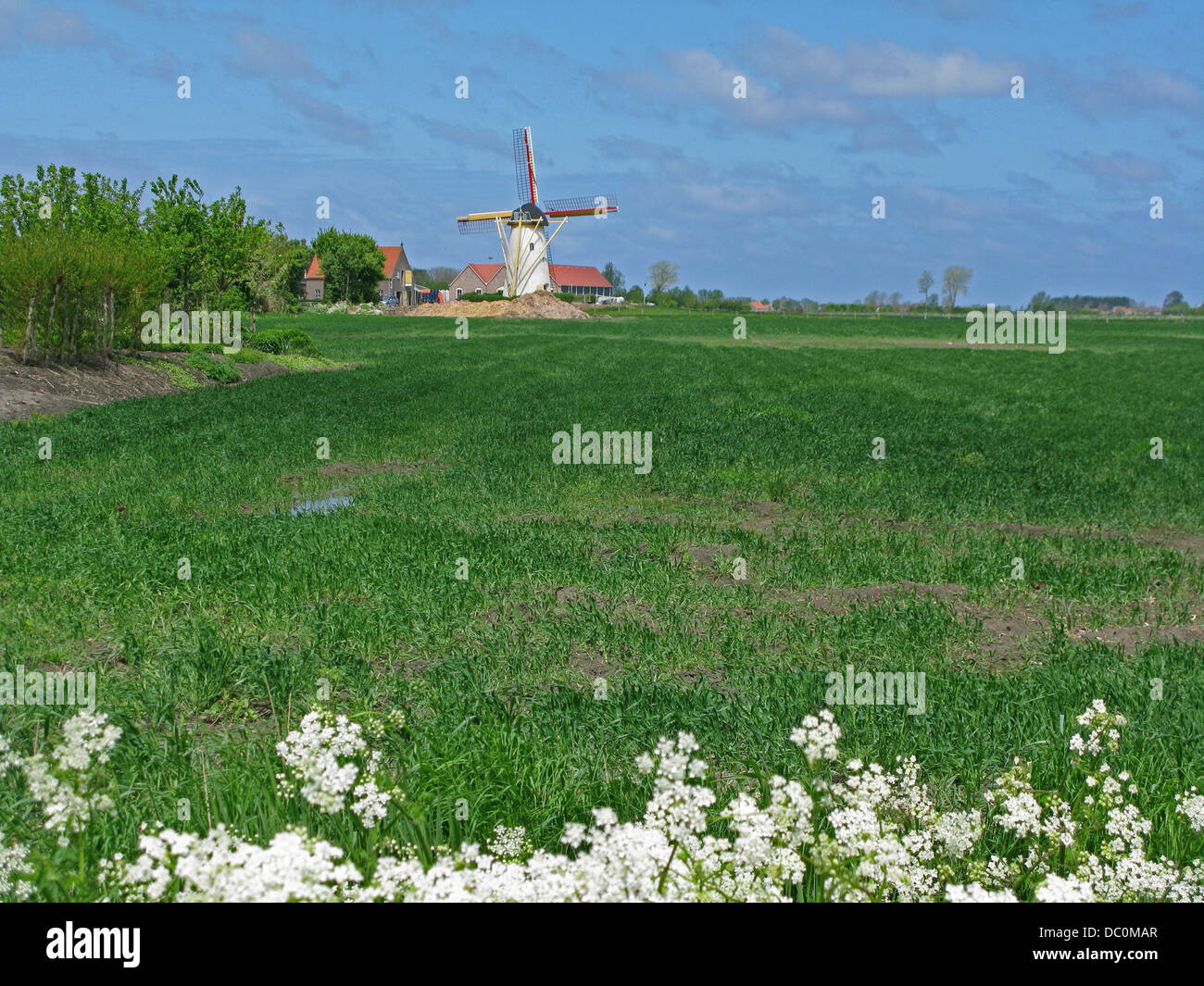 Pays-bas Hollande Europe de la mer du Nord de la péninsule de Walcheren Banque D'Images