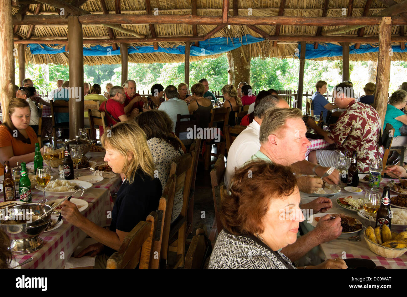 Les groupes de profiter d'un repas de cuisine cubaine dans palmier patio couvert Banque D'Images