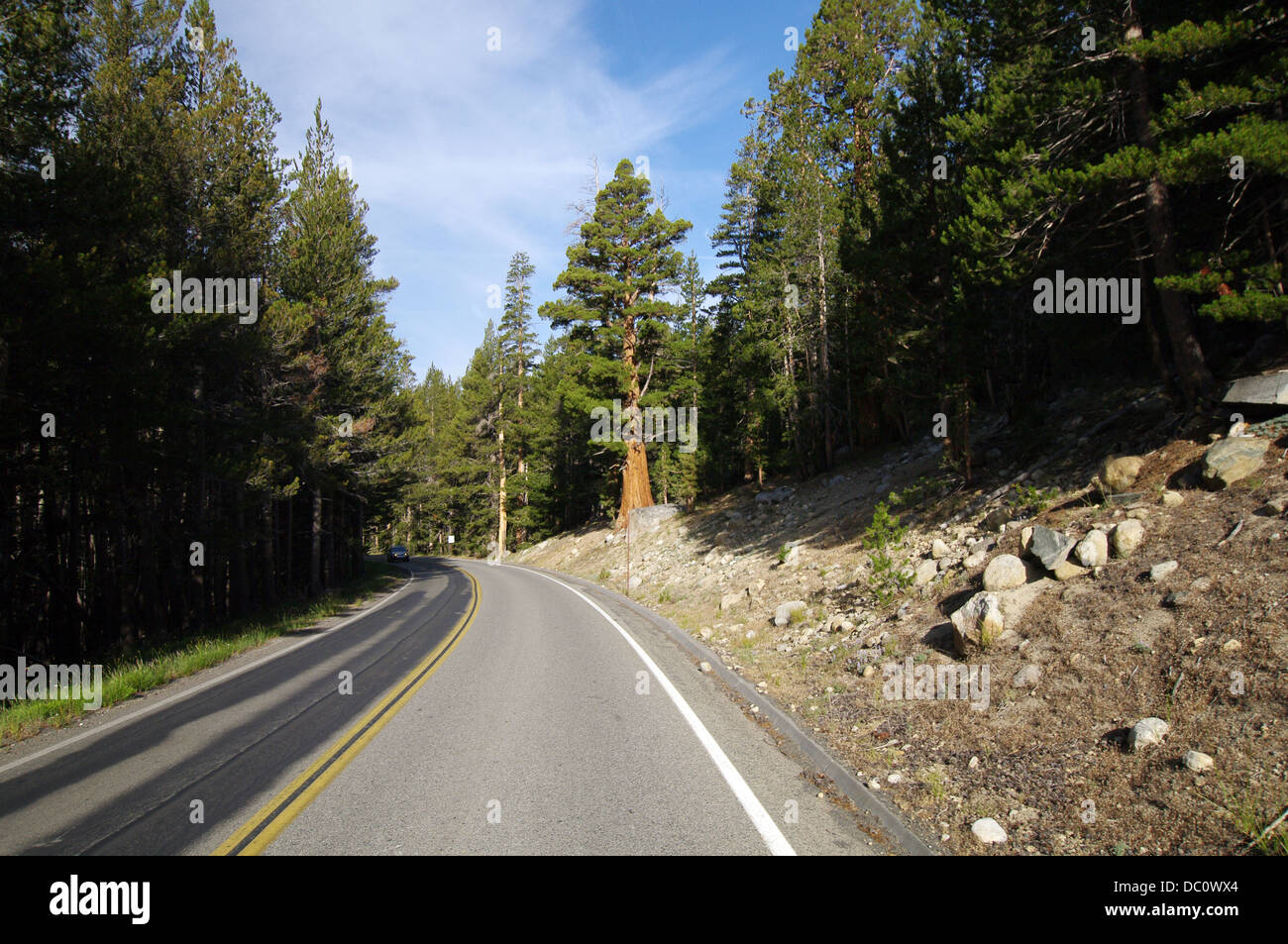 Tioga Pass - un col dans les montagnes de la Sierra Nevada qui traverse le Parc National de Yosemite Banque D'Images