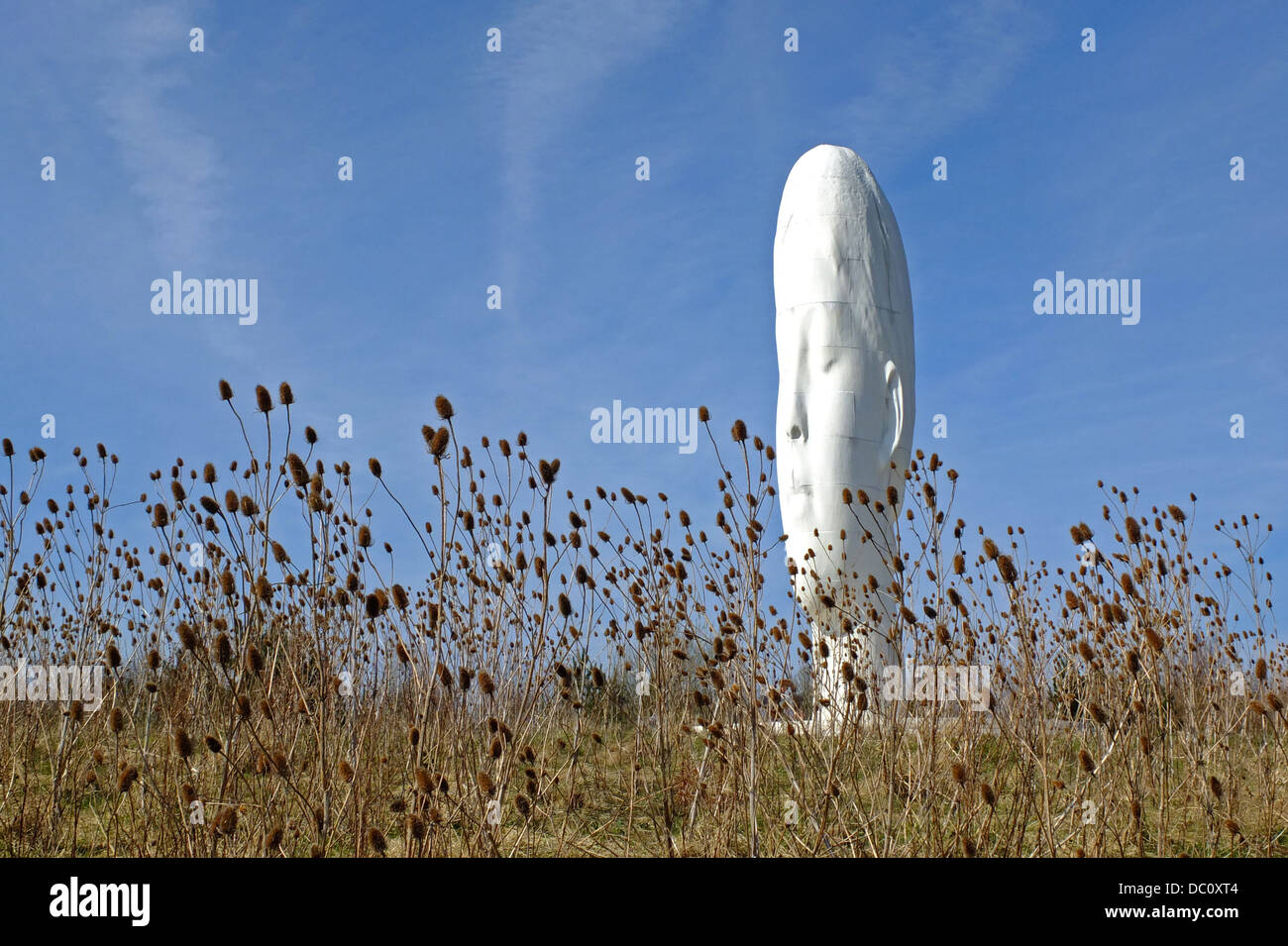 'Dream' blanc allongé sculpture 20m de haut de la tête d'une jeune femme de plus en plus hors de la terre. Banque D'Images