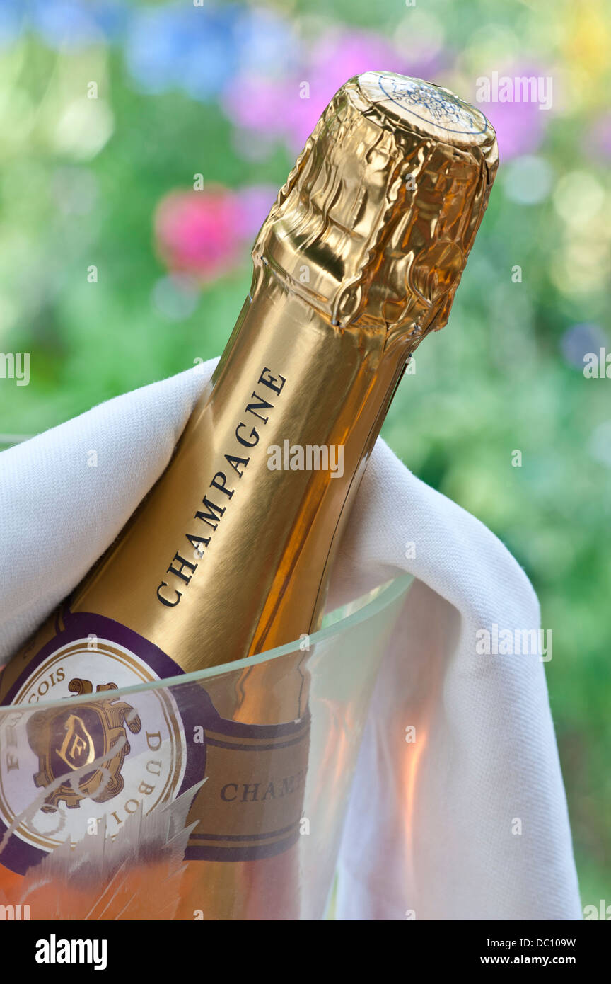 Bouteille de champagne rosé dans un réfrigérateur de vin en cristal en plein air en été Banque D'Images