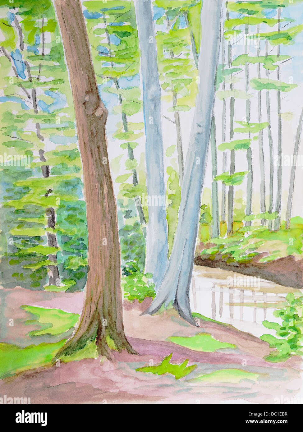 Les arbres forestiers - peinture originale sur papier couleur de l'eau Banque D'Images