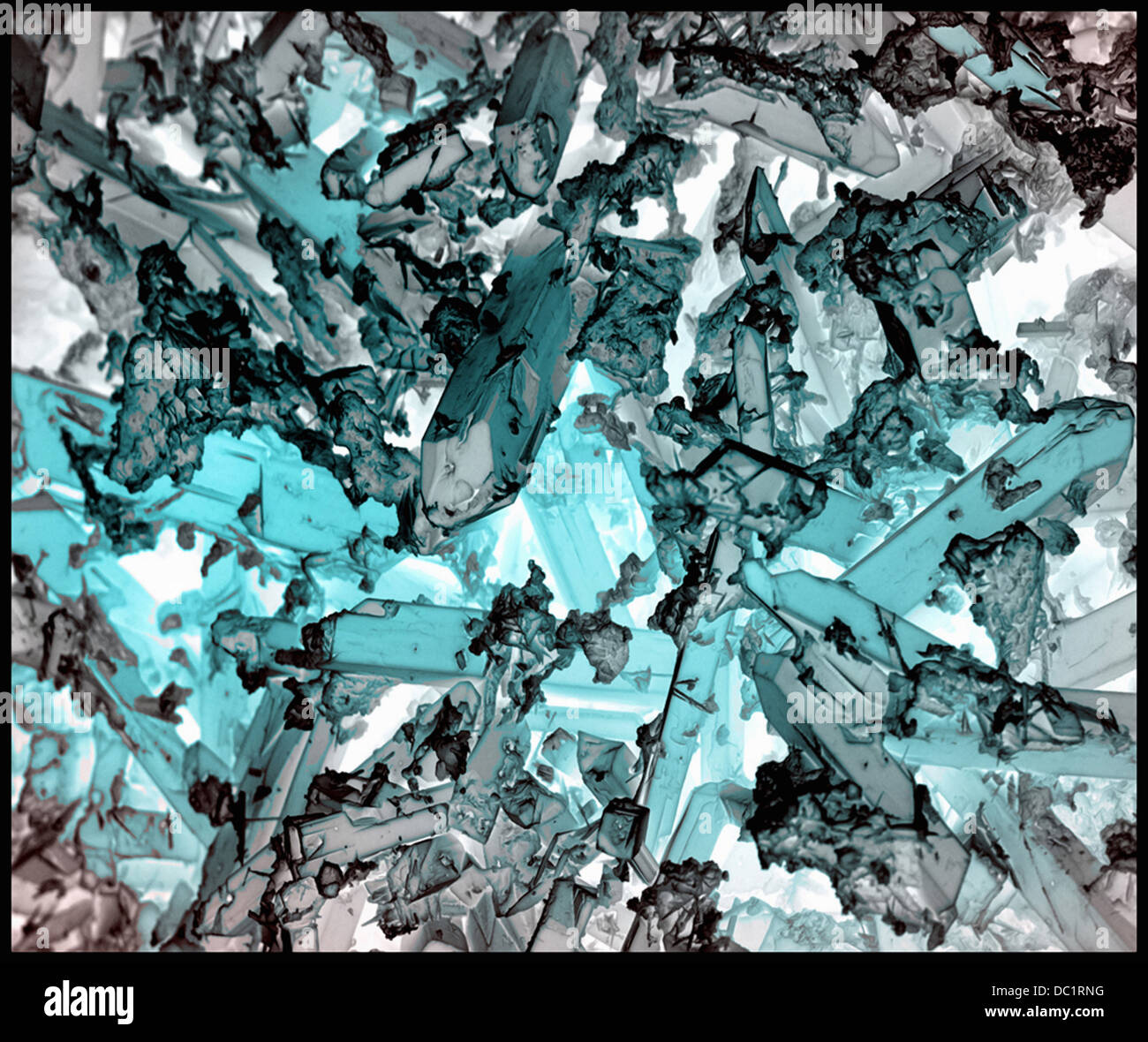 La corrosion, cristaux Indicolite couleur inversée, SEM Banque D'Images