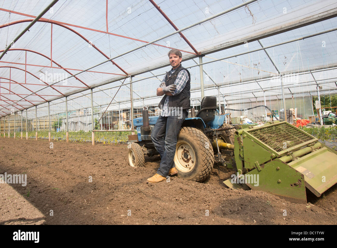 Portrait de l'agriculteur biologique avec le tracteur en polytunnel Banque D'Images