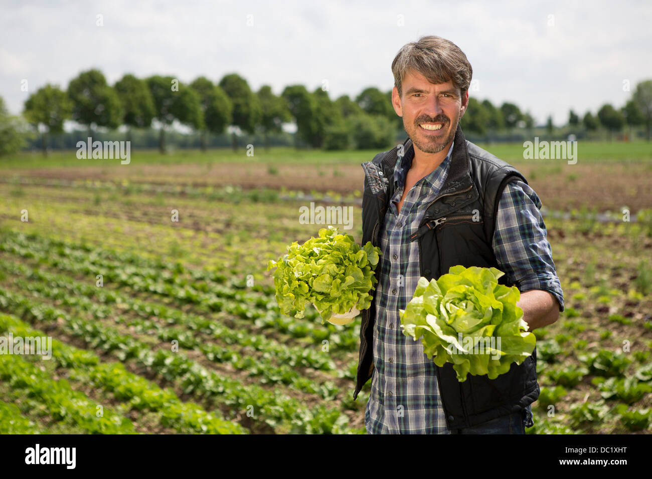 Portrait of organic farmer holding lettuce Banque D'Images