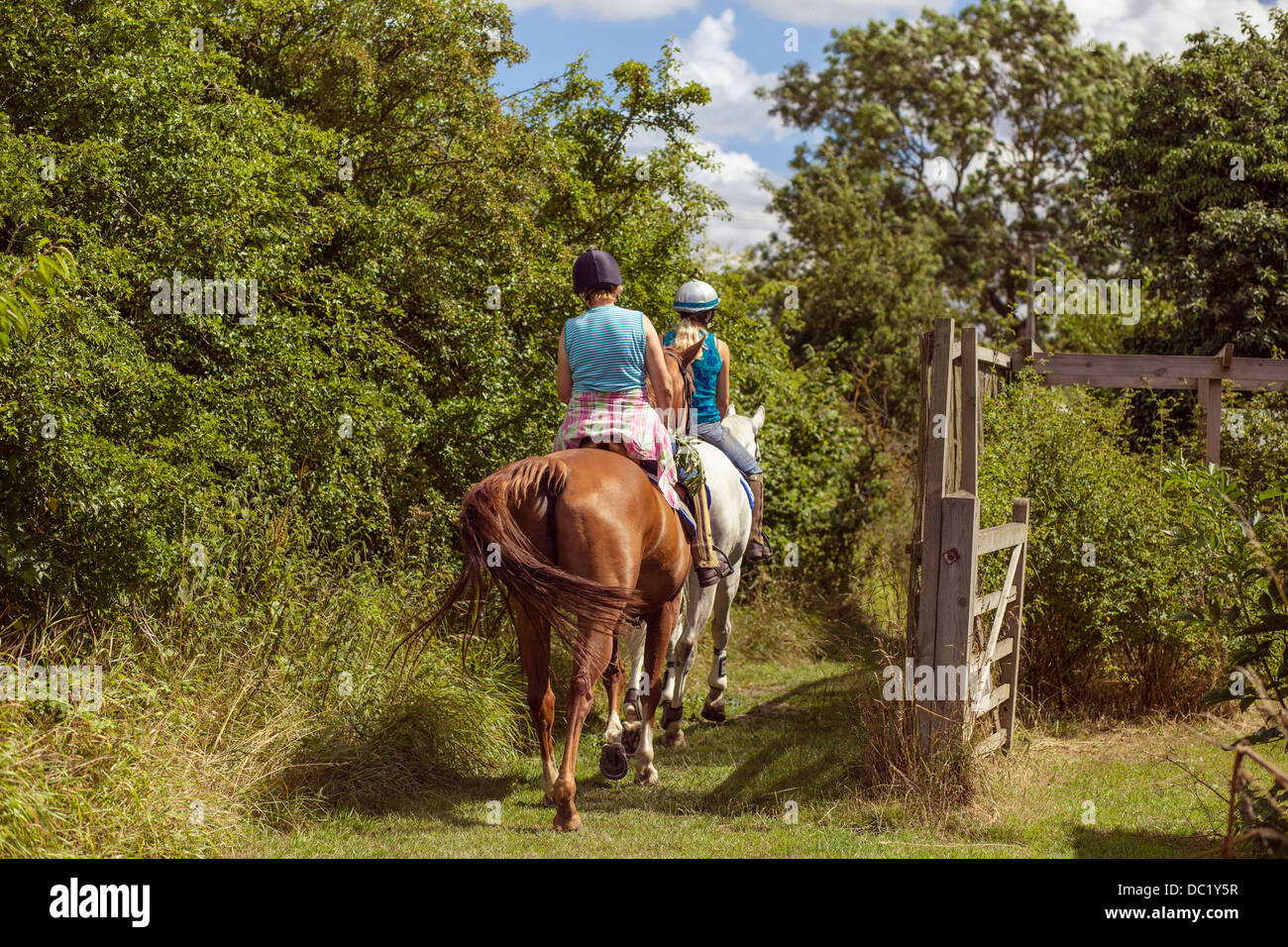 L'équitation à Norfolk Banque D'Images