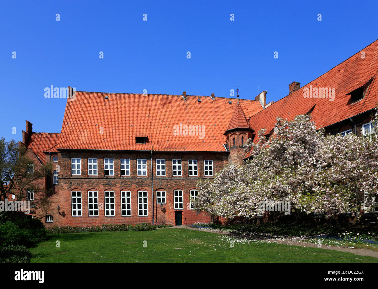 Magnolia Blossom, hôtel de ville jardin, Lunebourg, Lunebourg, Basse-Saxe, Allemagne, Europe Banque D'Images