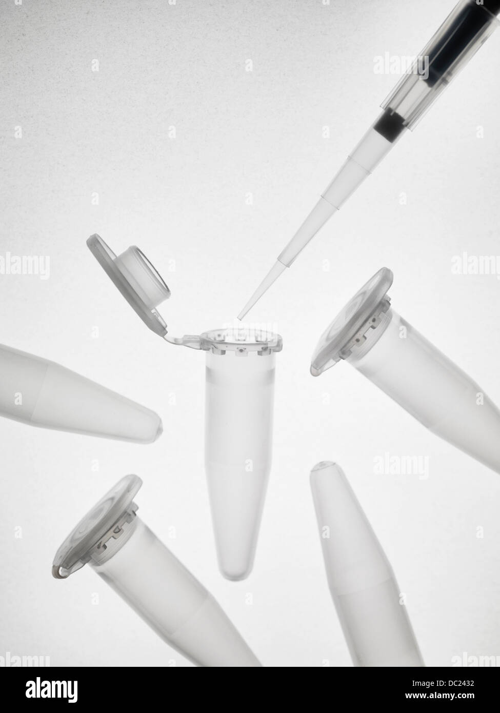 Flacons Pipette Eppendorf et Banque D'Images