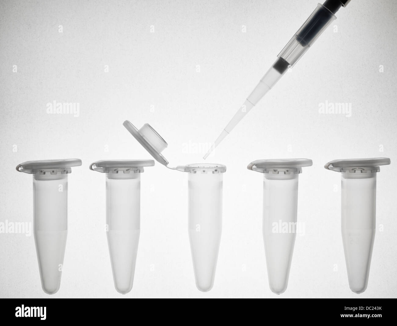 Flacons Pipette Eppendorf et Banque D'Images