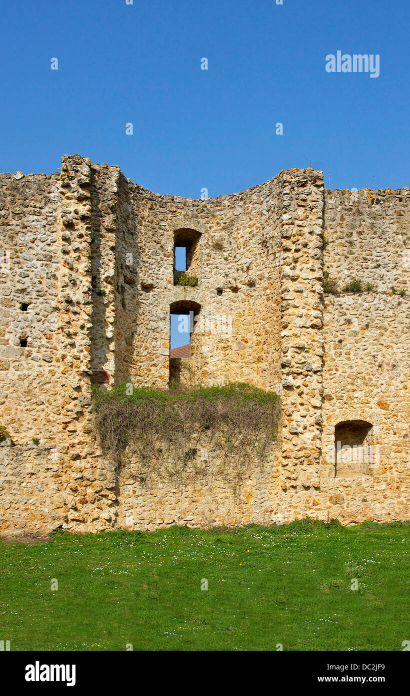 Une moitié d'une tour en ruine, le Château de la Madeleine, Chevreuse, Yvelines, France. Banque D'Images