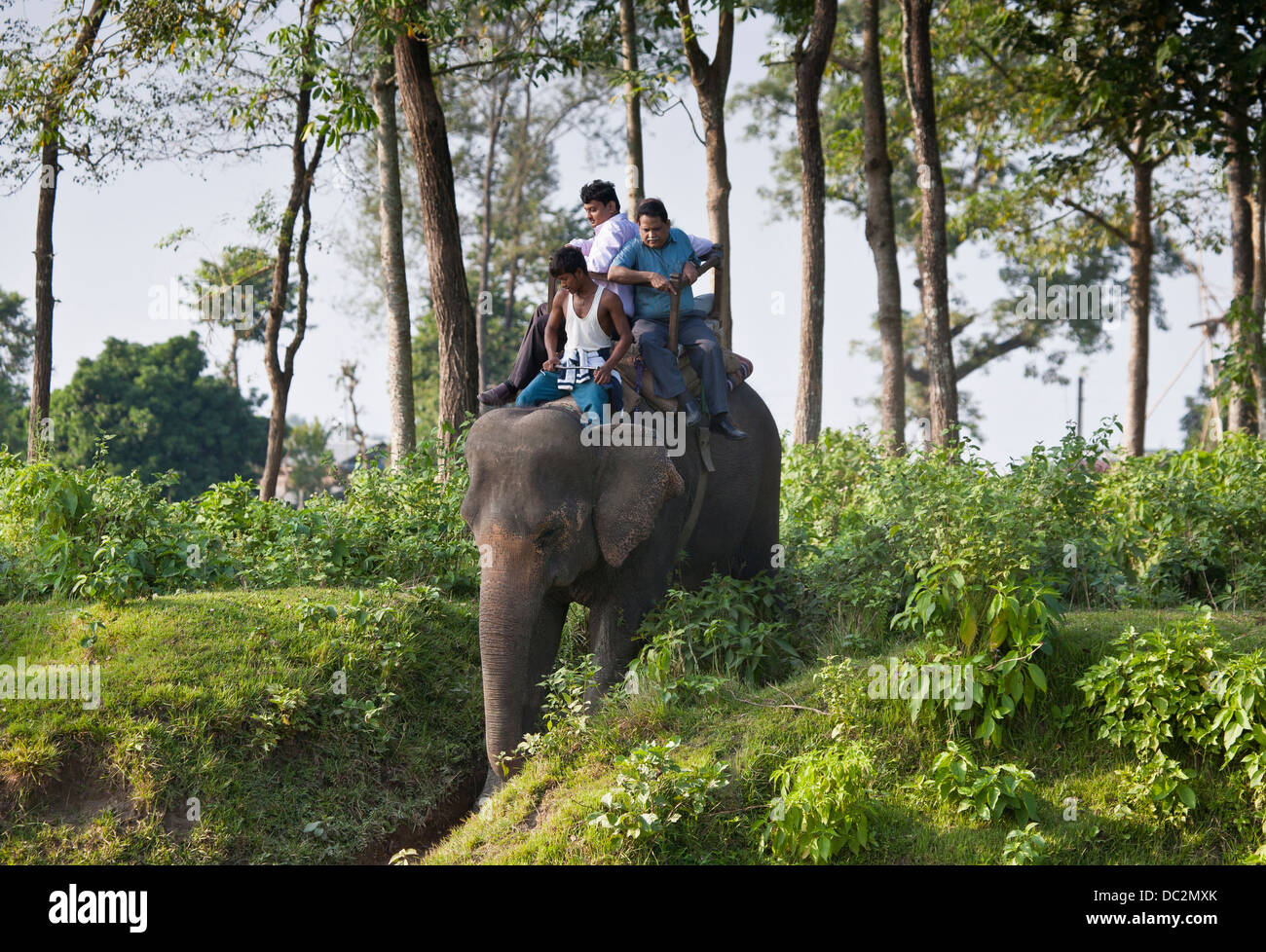 Les touristes de partir pour un safari dans le parc national de Chitwan. Banque D'Images
