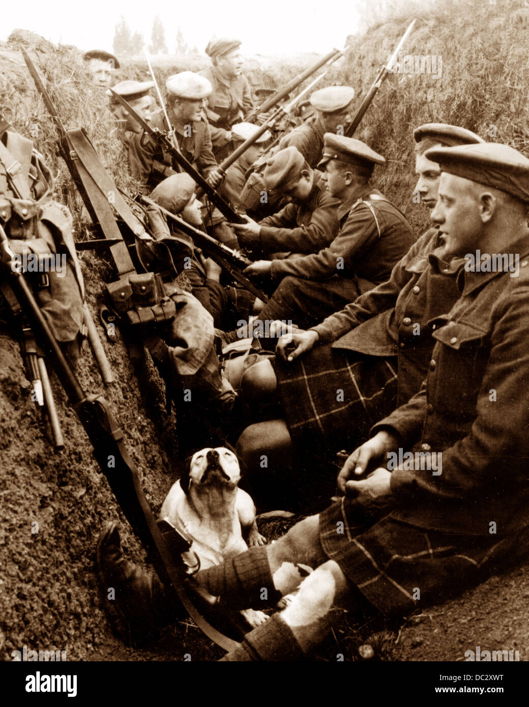 Seaforth Highlanders et le chien dans une tranchée WW1 Banque D'Images