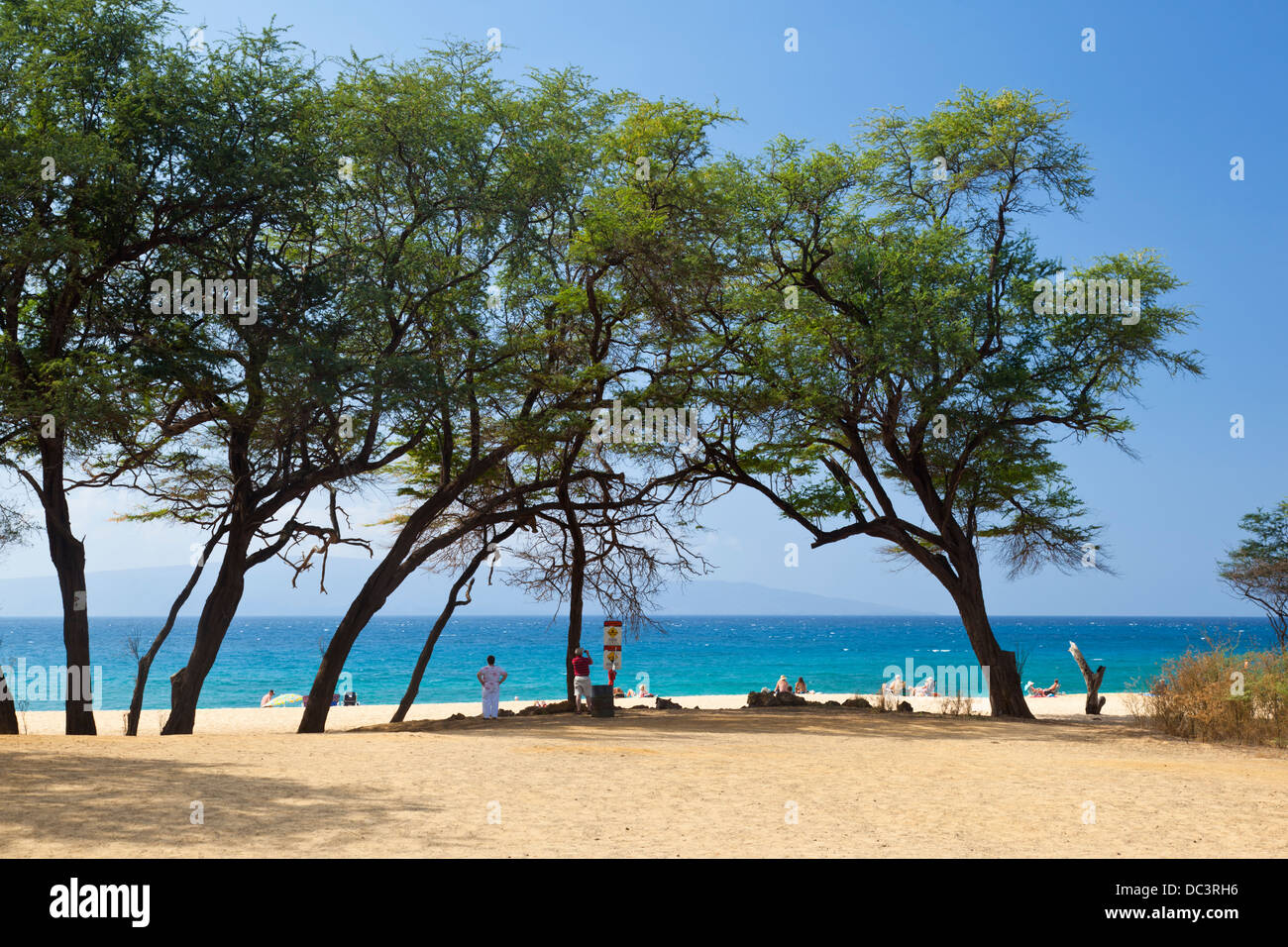 Makena Beach avec vue d'Kahoʻolawe sous quelques arbres à Maui, Hawaii. Plusieurs personnes profitant de la journée sur la plage. Banque D'Images