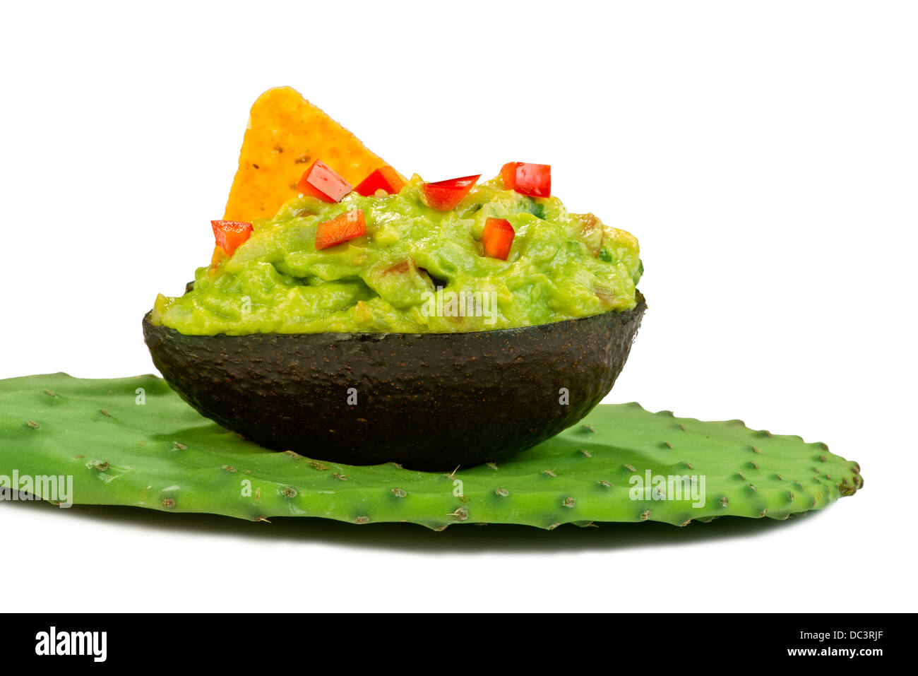 Cyril Lignac avec les avocats sur un cactus vert feuille. Banque D'Images