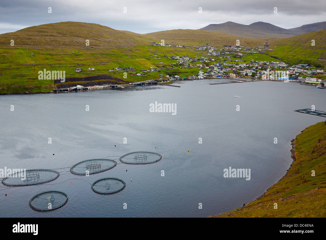 Salmon Farm, Vestmanna, Stremoy Island, Îles Féroé Banque D'Images