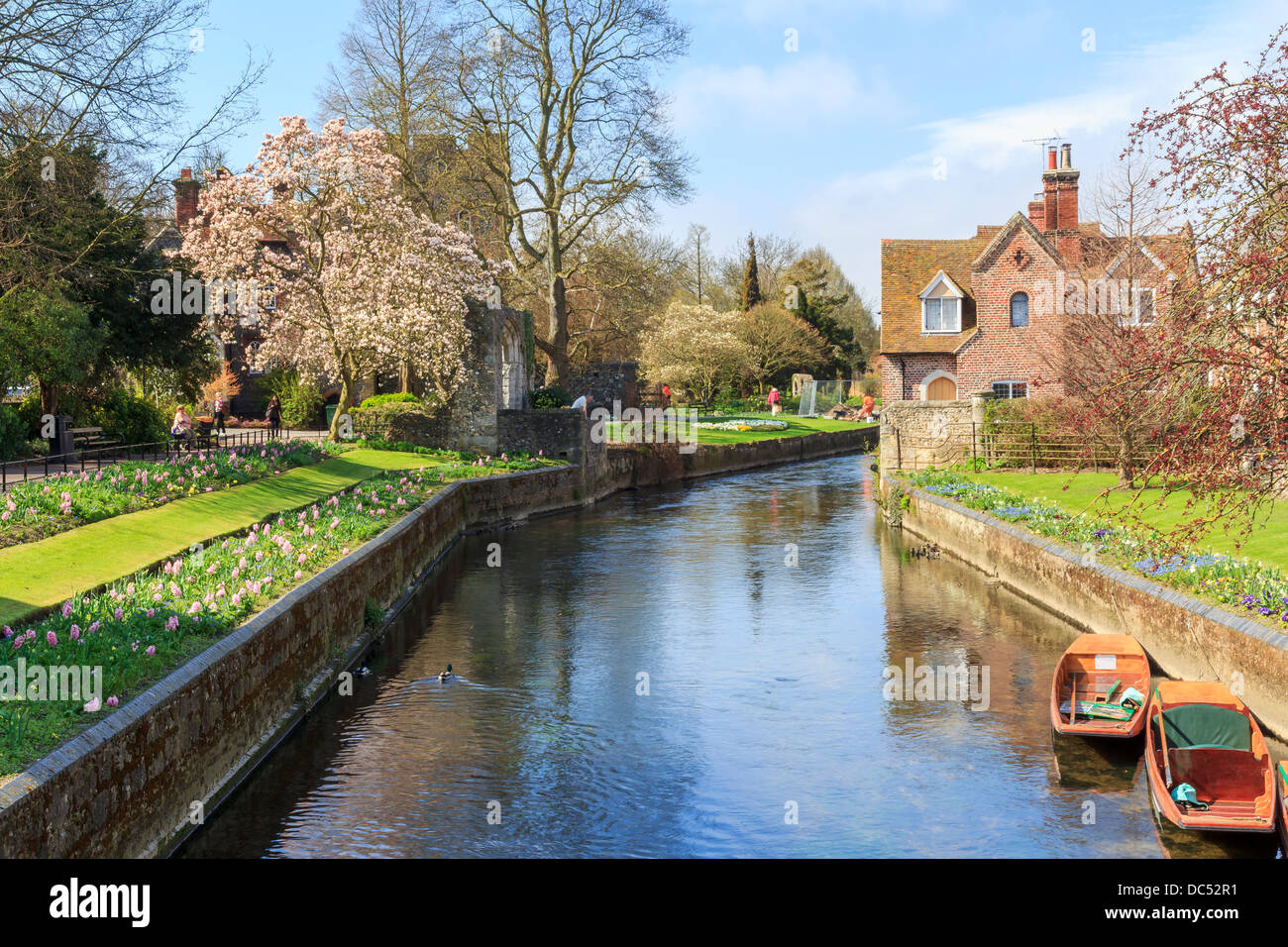 Riverside paysage sur la rivière Stour à Canterbury Kent England UK Banque D'Images