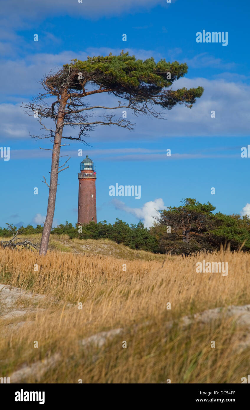 Europa, Deutschland, Mecklenburg-Vorpommern,Fischland-Darss-Zingst Prerow Darsser Ort,phare Banque D'Images