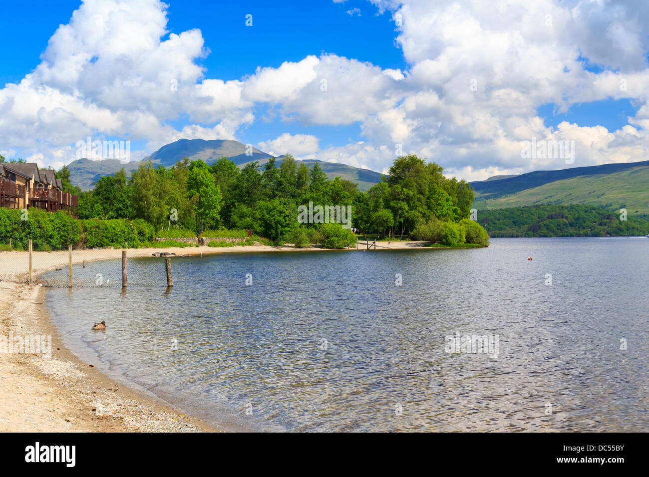 L'été sur les rives du Loch Lomond, les Trossachs National Park Scotland UK Banque D'Images