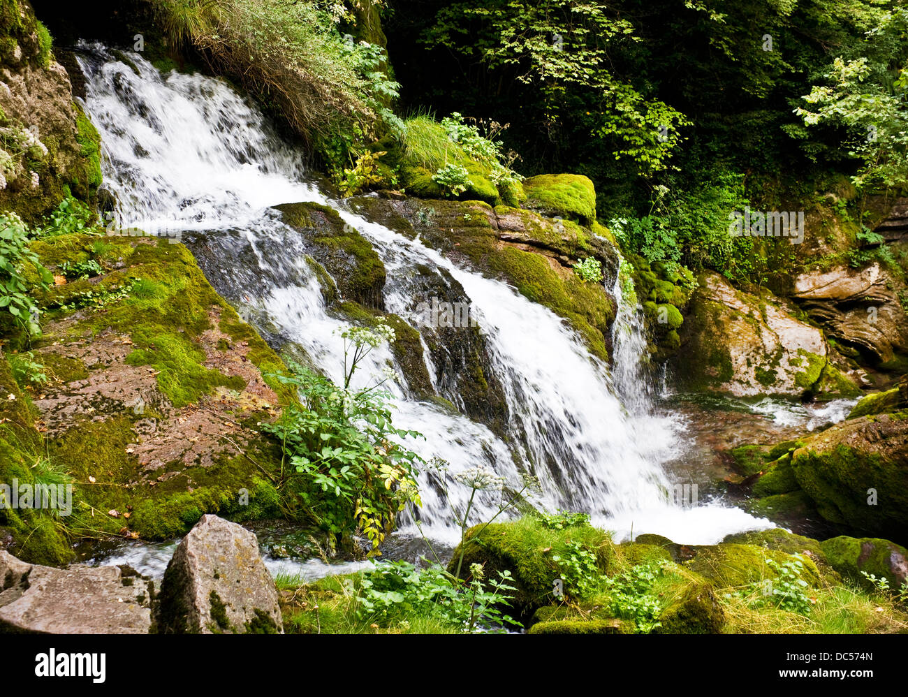 Petite chute d'eau à la source de la rivière Llobregat, à Castellar de n'Hug (Catalogne, Espagne) Banque D'Images