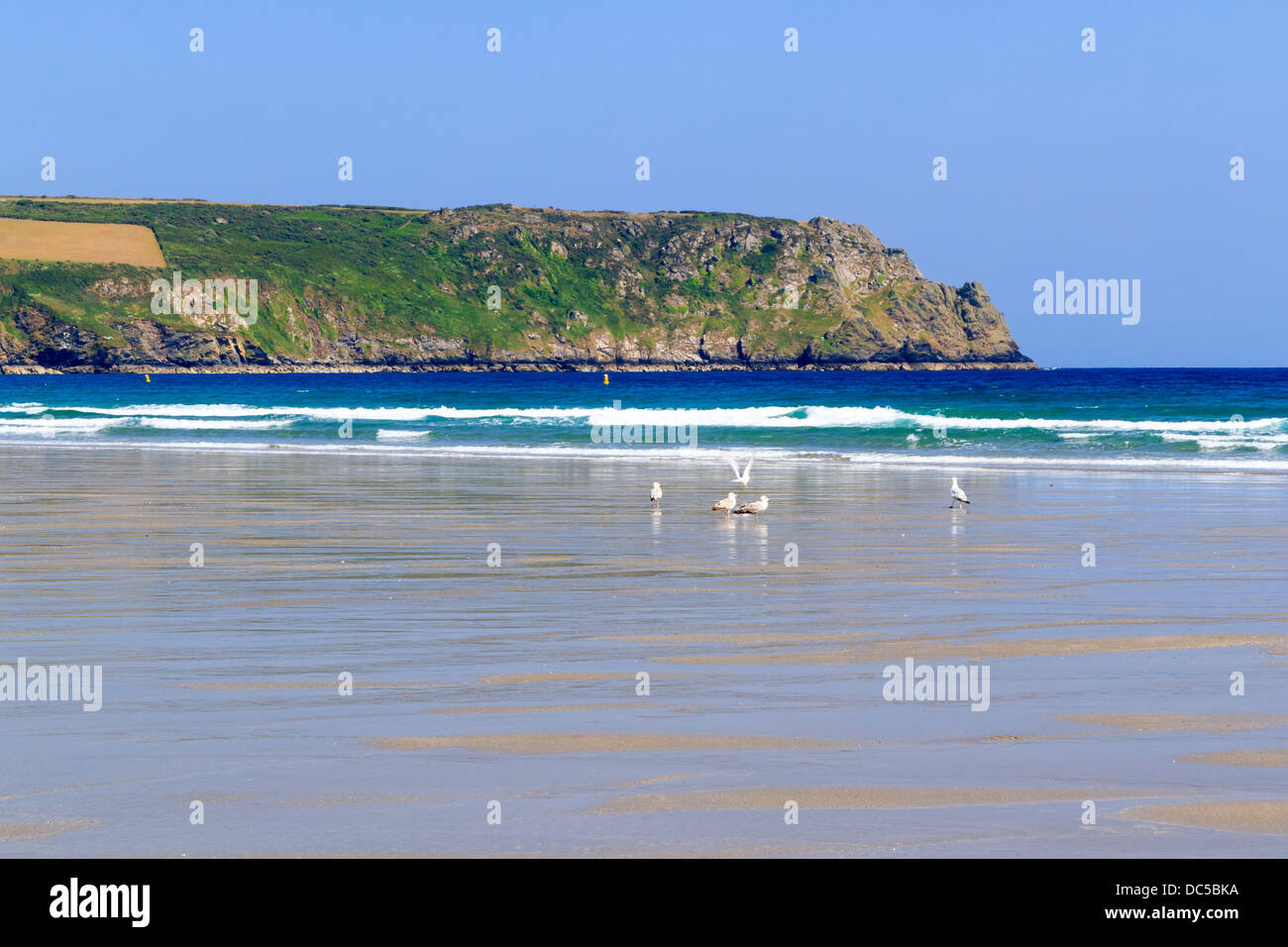 Pendower Beach sur la péninsule de Roseland Cornwall England UK Banque D'Images