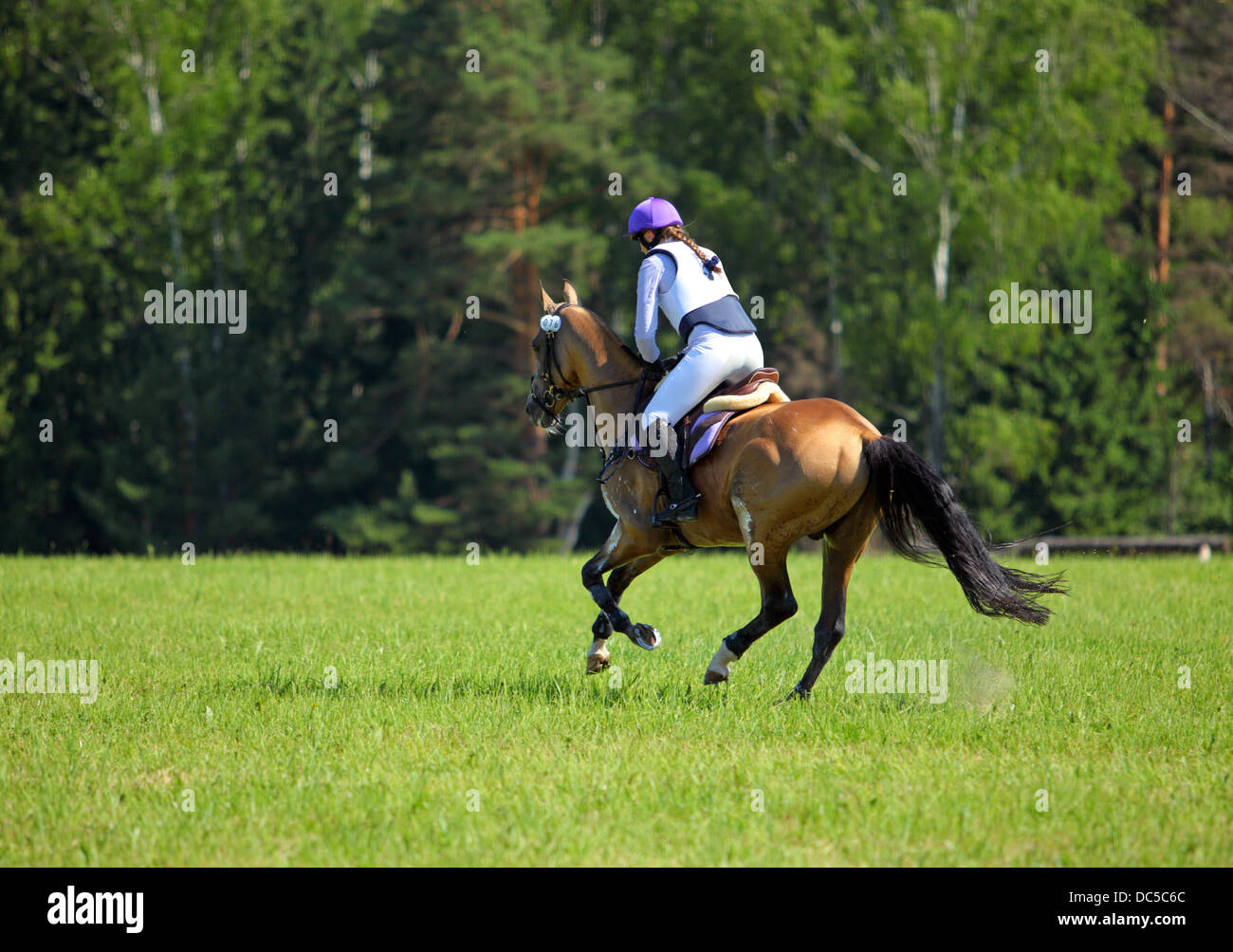 Cheval et cavalier d'événements avant la compétition de cross-country Banque D'Images