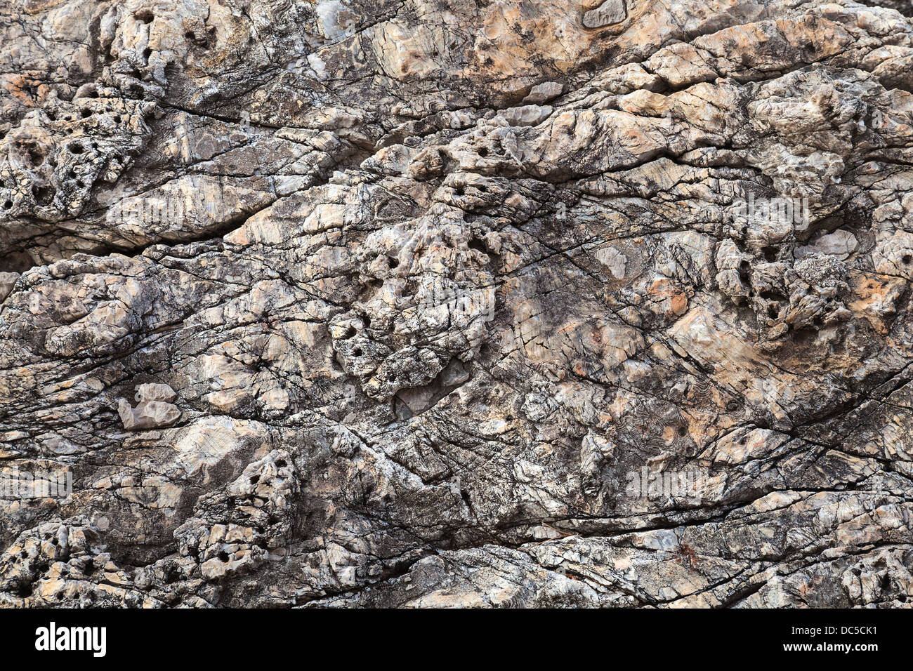 Coastal rock fond texture. La mer Adriatique, le Monténégro Banque D'Images