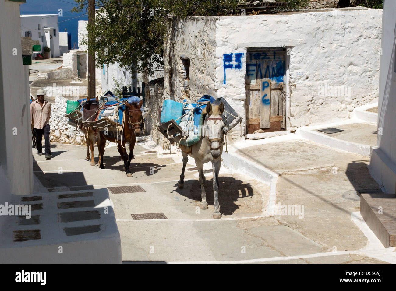 Mules de travail dans les villages grecs. Banque D'Images