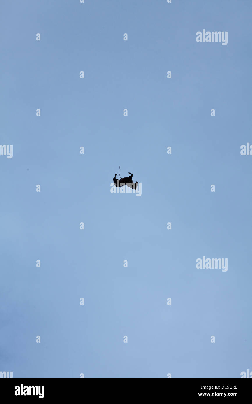 Charlton Park, Wiltshire, Angleterre - (WOMAD World of Music Arts and Dance Festival 2013). Banque D'Images