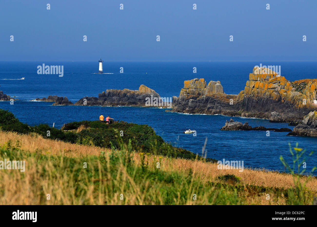 L'île des Landes, un sanctuaire d'oiseaux et phare de Pierre de Herpin au point du Grouin (Cancale, Bretagne, France). Banque D'Images