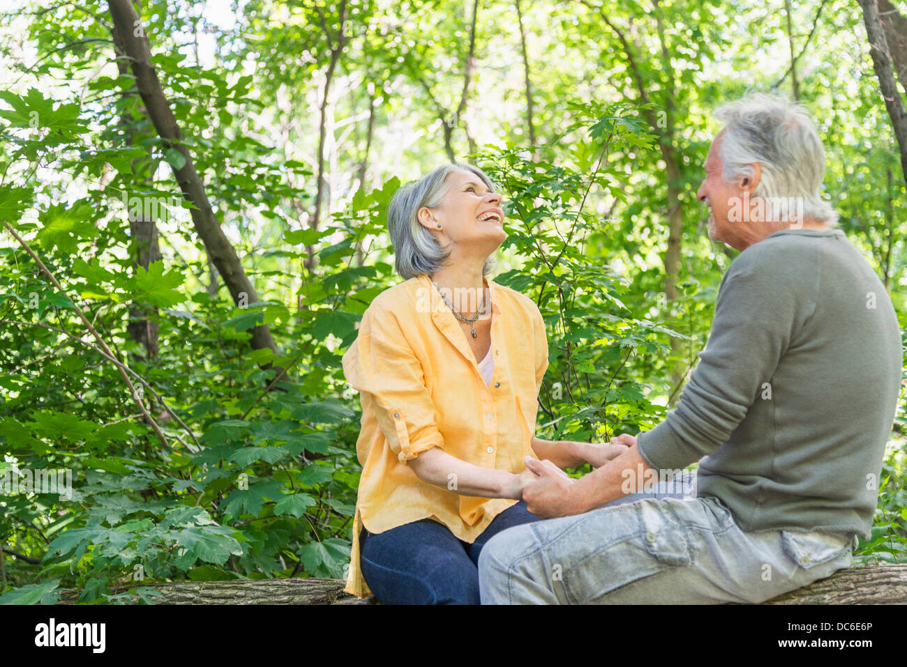 USA, New York State, New York, Central Park, Senior couple sitting on log in forest Banque D'Images