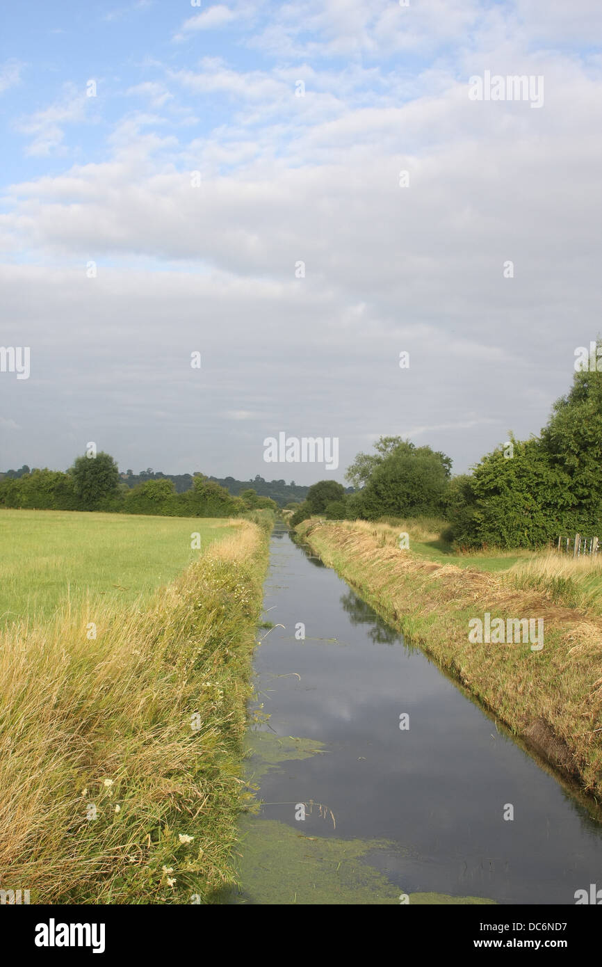 Rhynes sur Somerset Levels près de Cheddar, Somerset. Août 2013 Banque D'Images