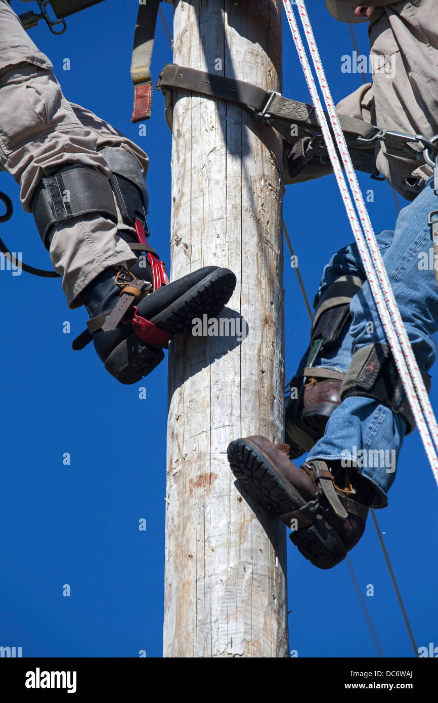 Les poseurs d'électricité monter poteaux pour effectuer les réparations à l'assemblée annuelle de Michigan sertisseuse Rodeo Banque D'Images