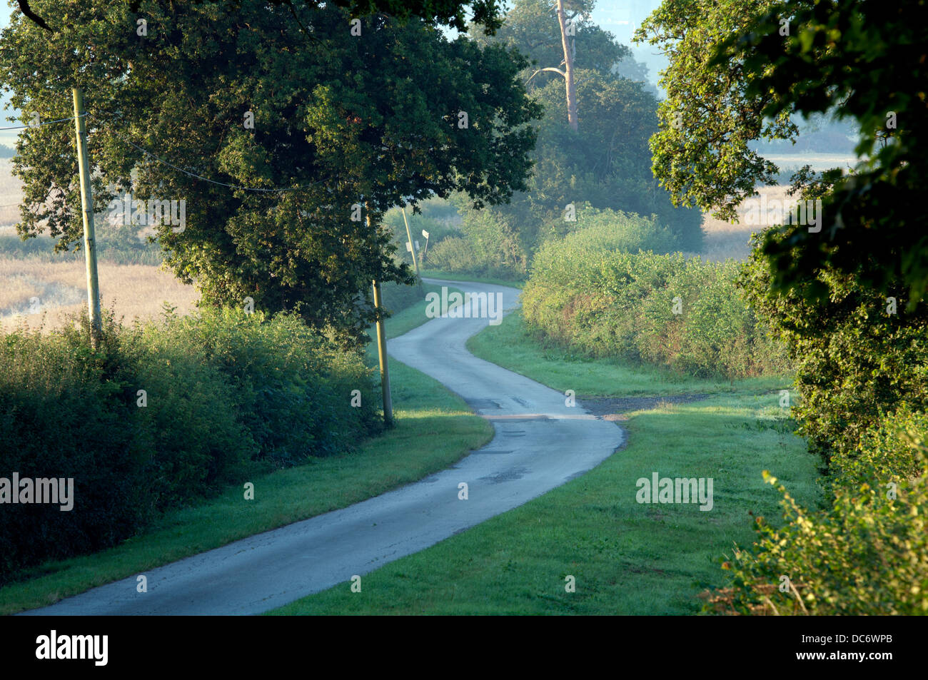 Route de campagne sinueuse, Warwickshire, UK Banque D'Images