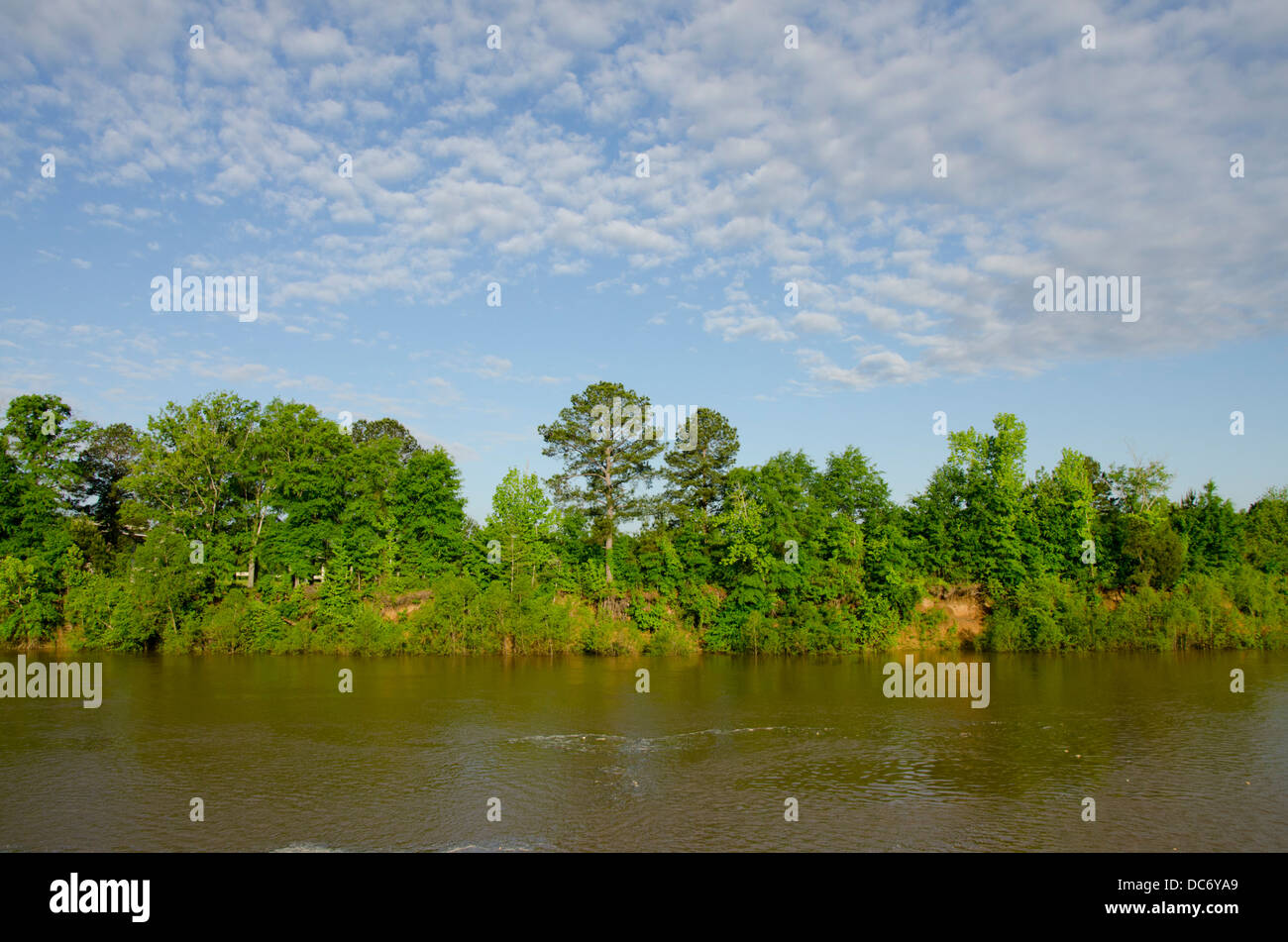New York, rivière Tombigbee. Rivière typique vue de la voie navigable Tombigbee en été. Banque D'Images