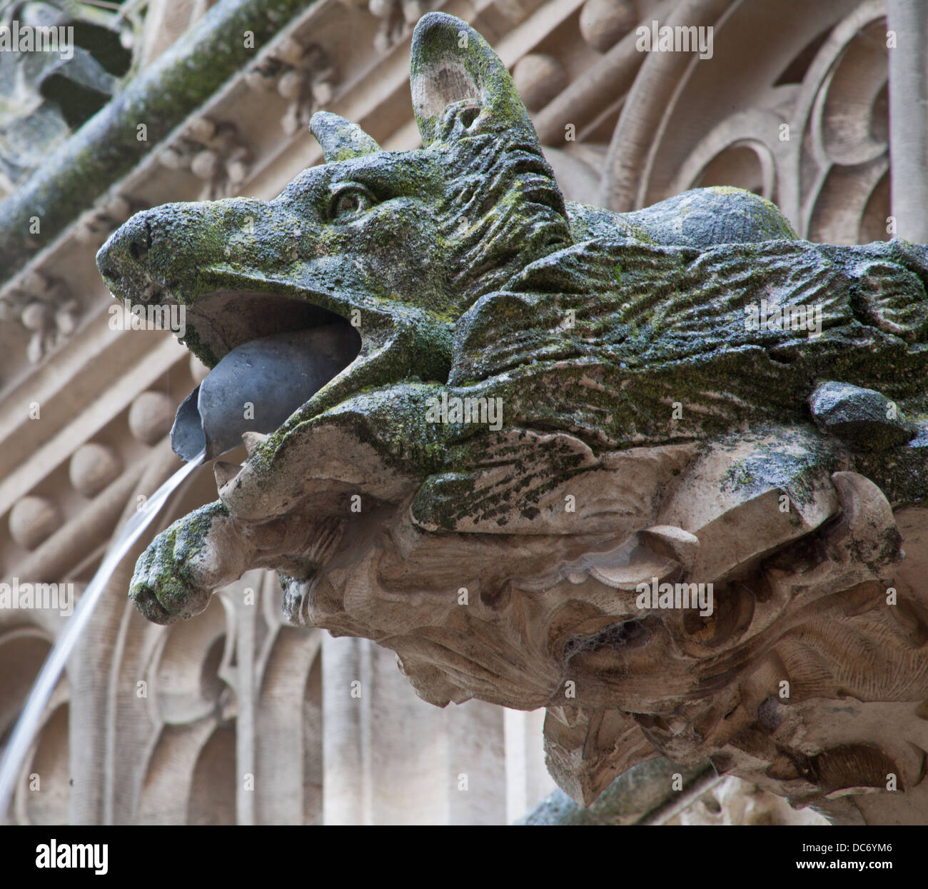 TOLEDO - 8 mars : Détail d'animal comme spoutler gothique dans la pluie à partir d'atrium de Monasterio de San Juan de los Reyes Banque D'Images